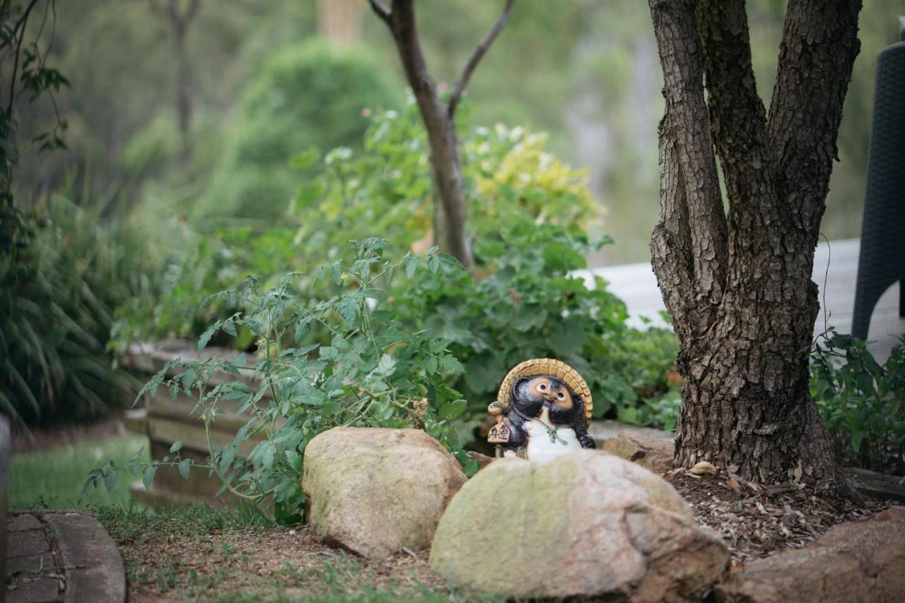 Elfin Hill Vineyard Accommodation ポーコルビン エクステリア 写真