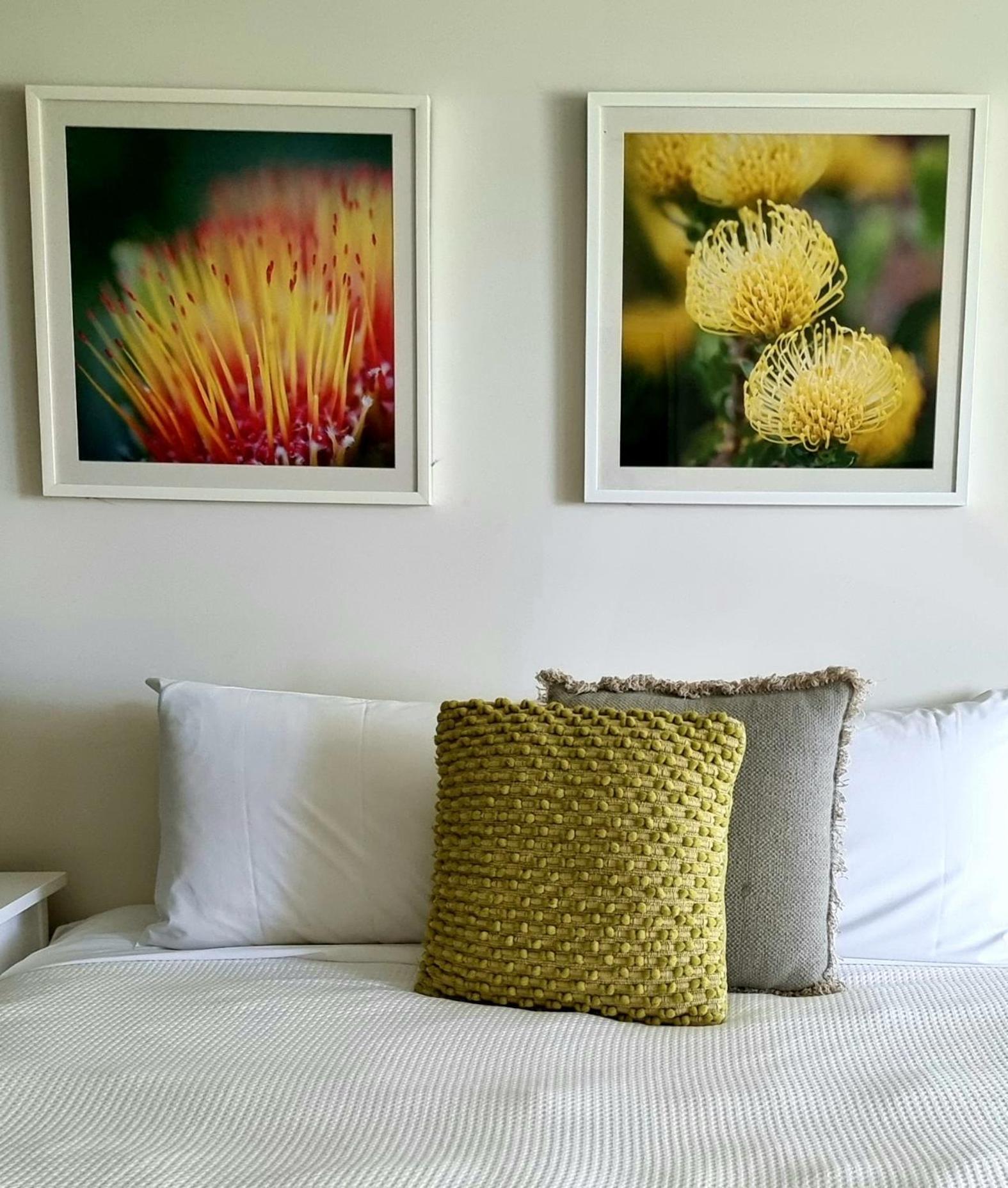 Elfin Hill Vineyard Accommodation ポーコルビン エクステリア 写真