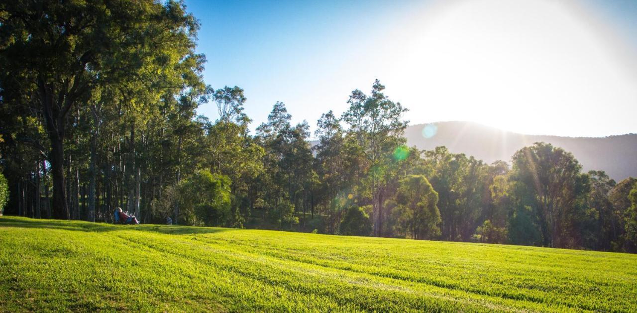 Elfin Hill Vineyard Accommodation ポーコルビン エクステリア 写真
