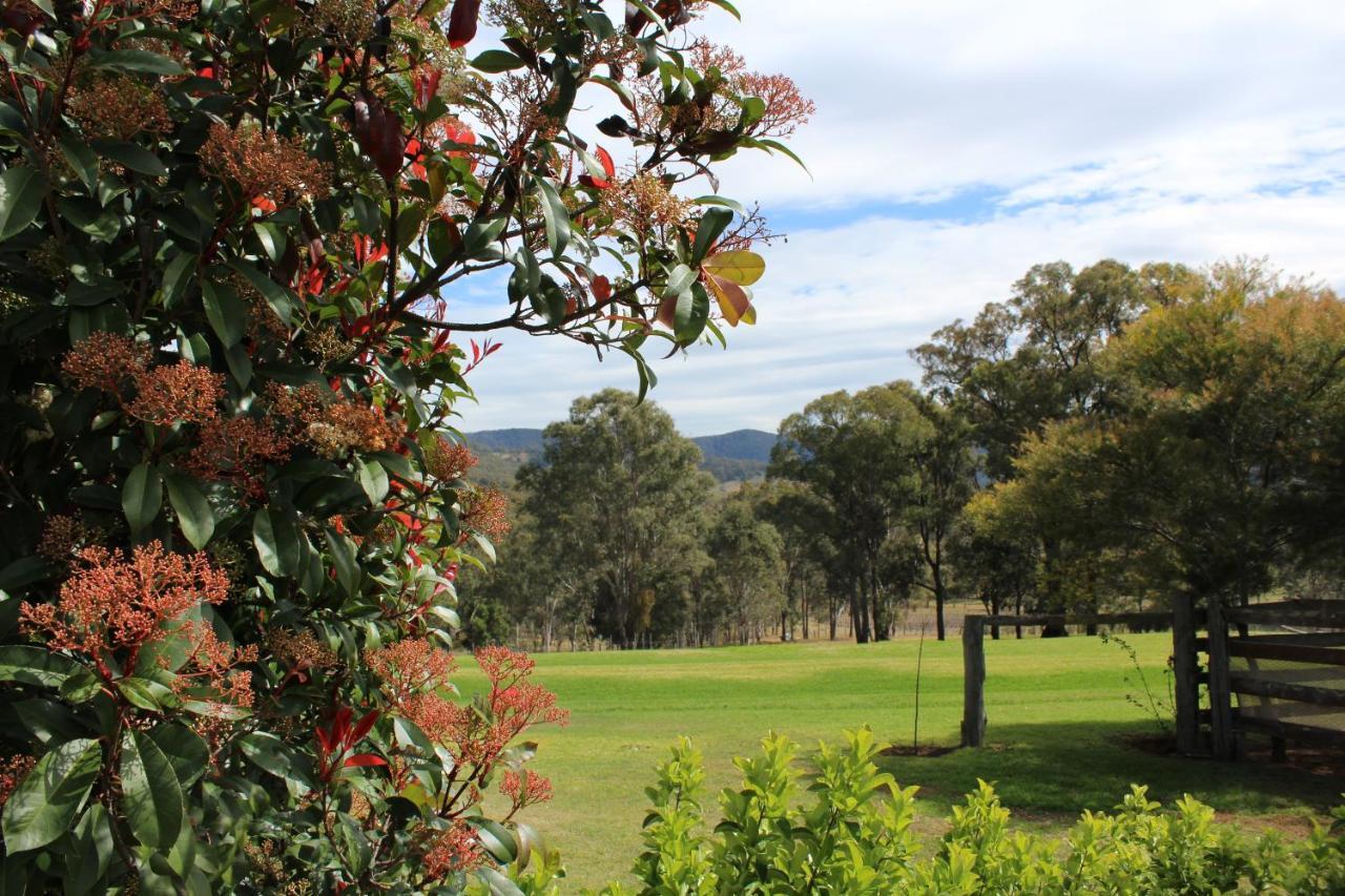 Elfin Hill Vineyard Accommodation ポーコルビン エクステリア 写真
